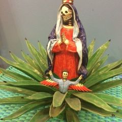Virgin in Aloe Plant