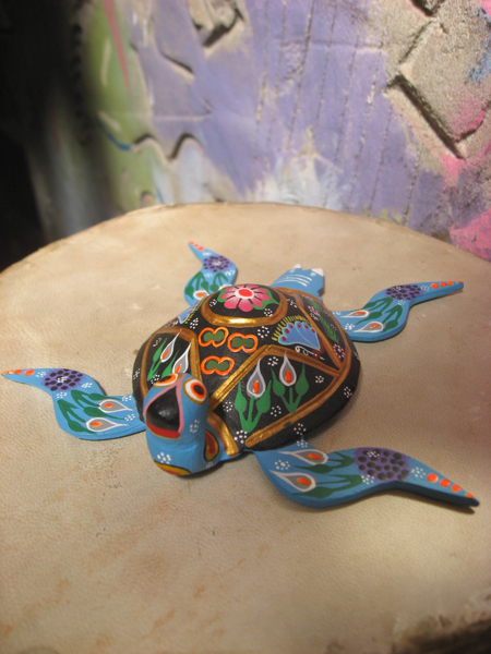 oaxacan animal turtle 06